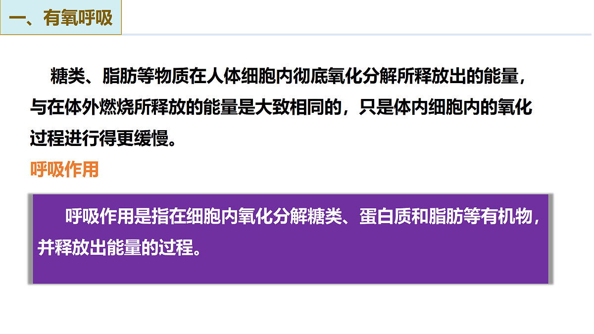 17398612第8页
