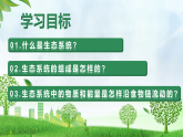 5.1.2 生态系统的结构和功能（教学课件）-2025-2026学年八年级生物上册（人教版2024）