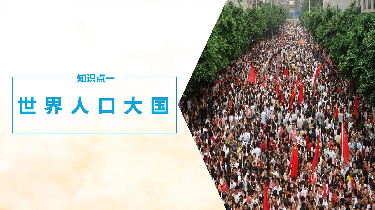 17399301第5页