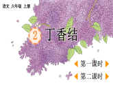 部编版六年级语文上册第 2 课《丁香结》【教案】A4+【同步课件】PPT
