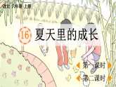 部编版六年级语文上册第 16 课《夏天里的成长》【教案】A4+【同步课件】PPT
