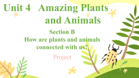 初中英语Unit 4 Amazing Plants and Animals Section B Project示范课课件ppt