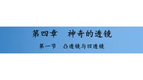 物理八年级全册(2024)凸透镜与凹透镜习题ppt课件
