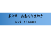 6.3　来自地球的力 第六章　熟悉而陌生的力 习题课件物理沪科版八年级全一册