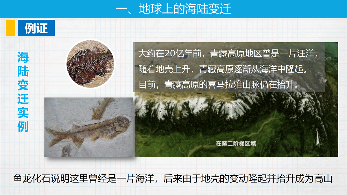 17401364第8页
