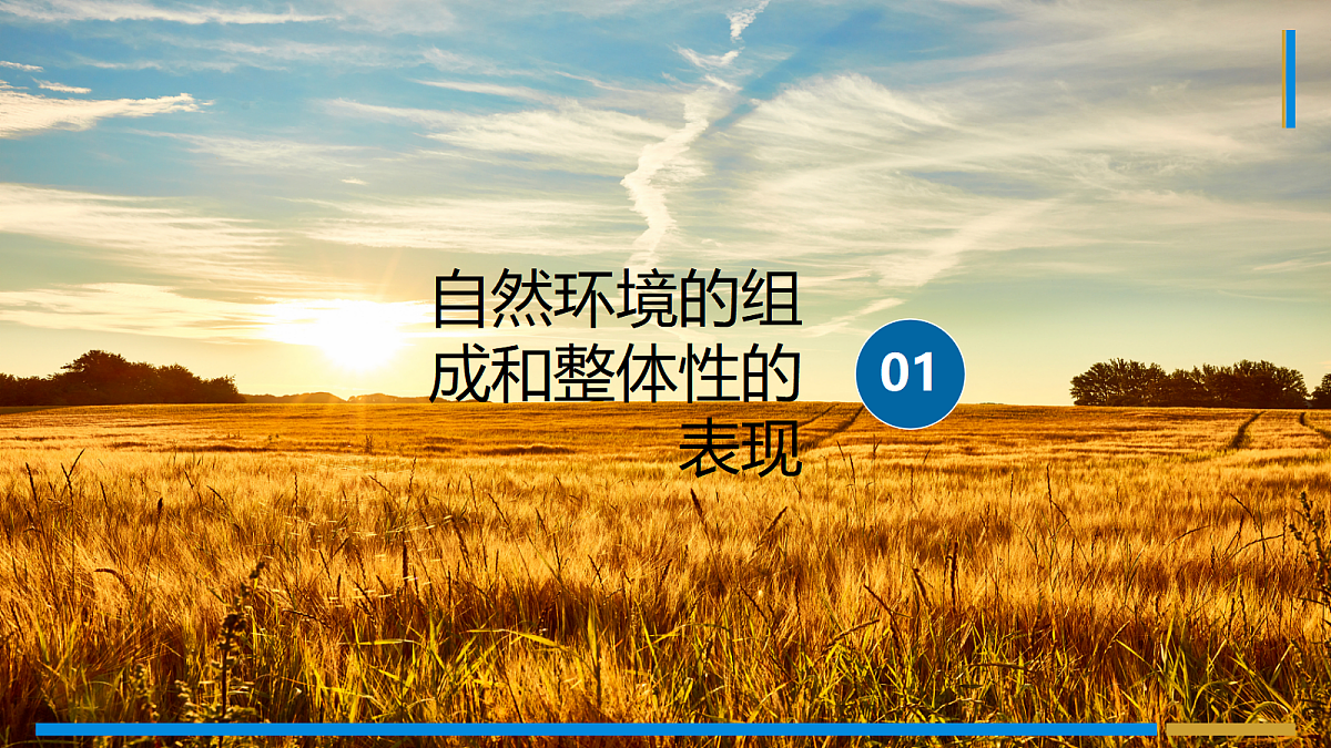 17401382第4页