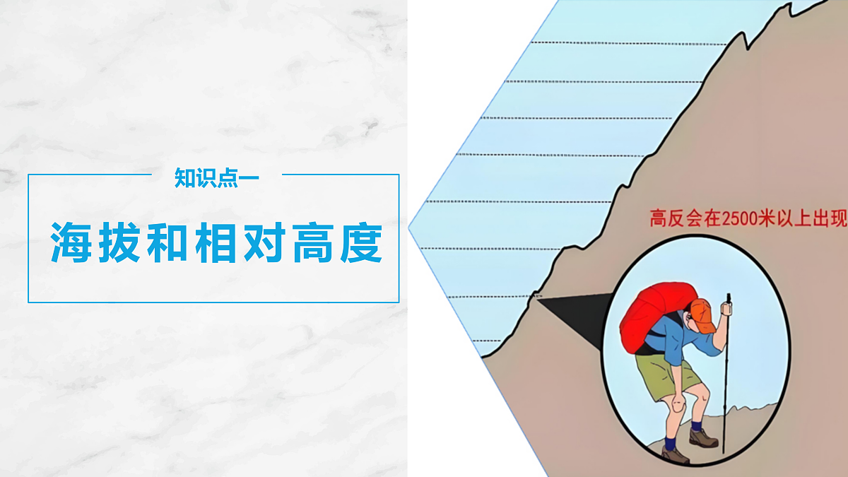 17401393第5页