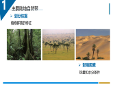 5.2课时1　主要陆地自然带与水平地域分异规律（教学课件）-高中地理湘教版（2019）选择性必修一.