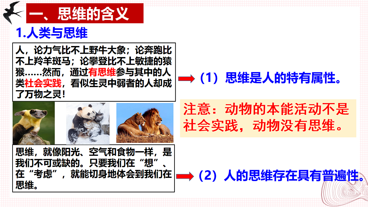 17401444第5页