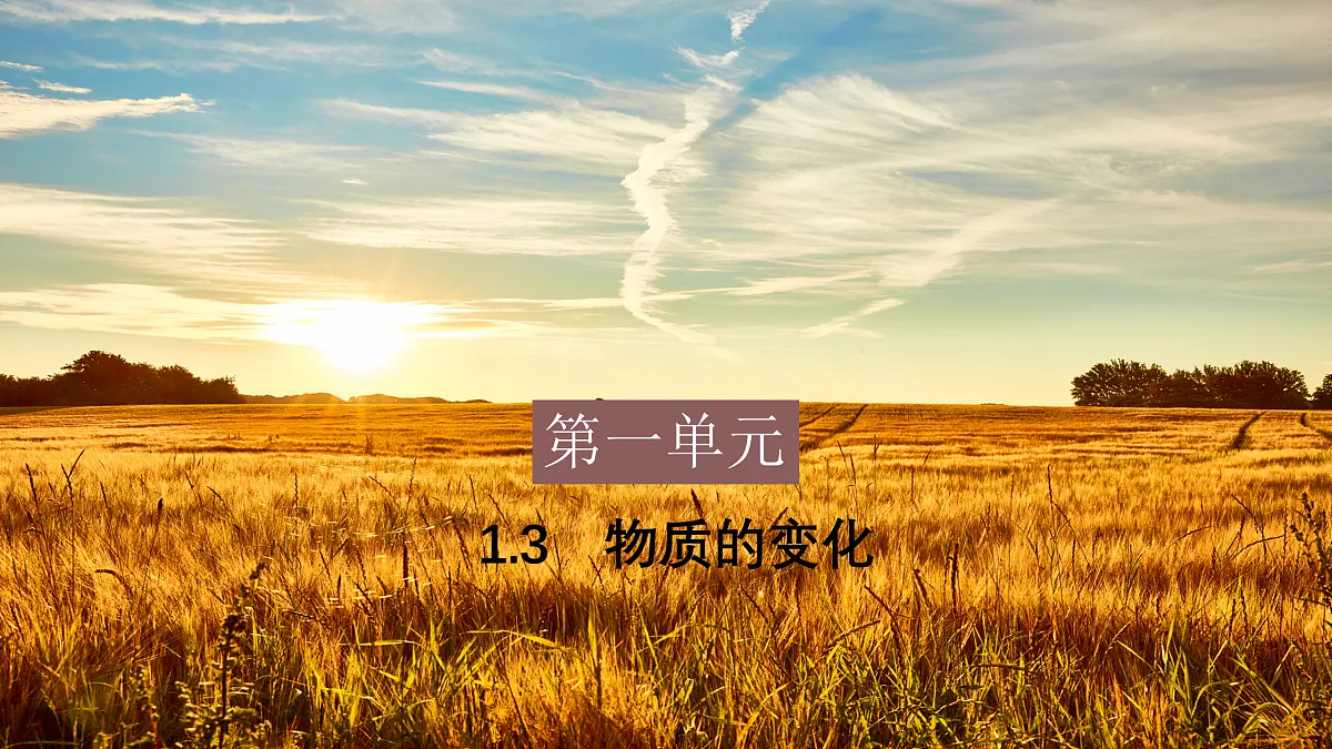 17401824第1页