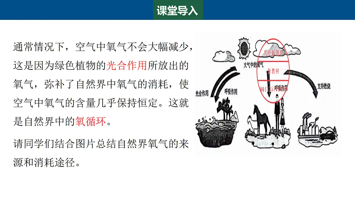 17401844第3页