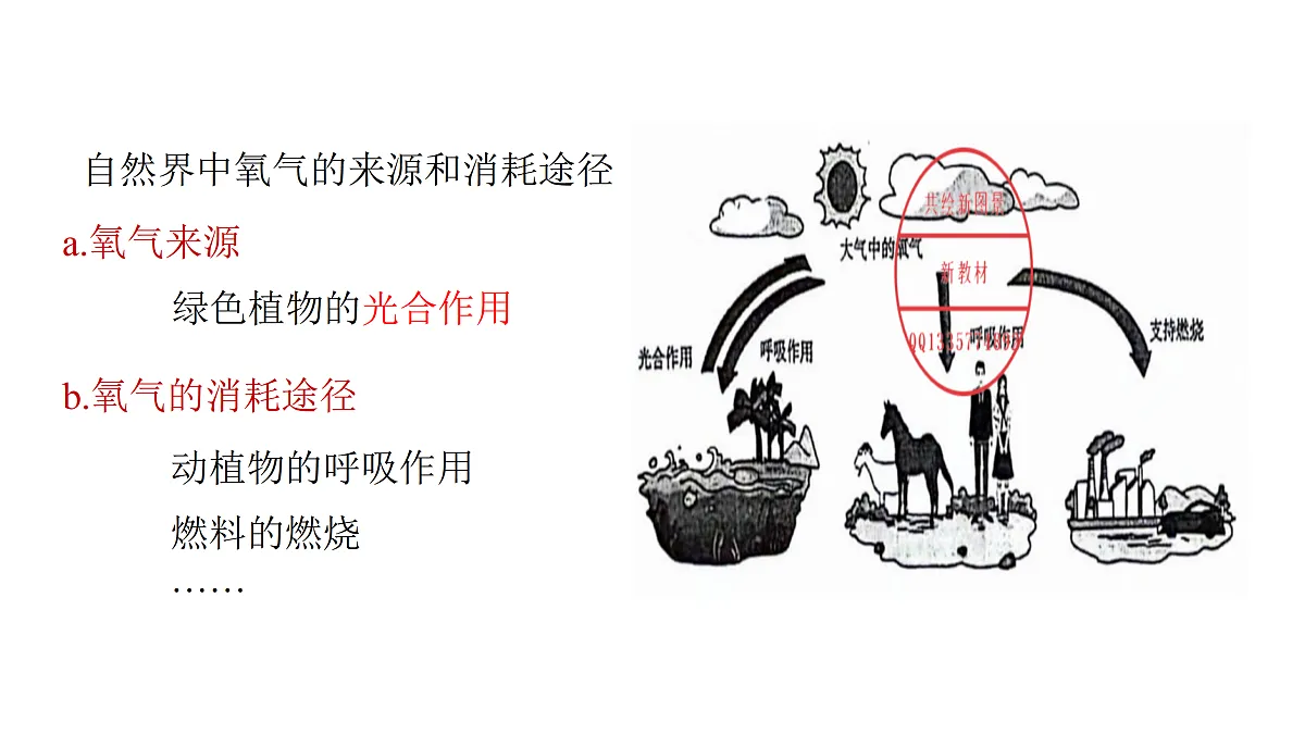 17401844第4页