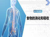 5.12.2.2 食物的消化和吸收（课件）-初中生物苏教版（2024）八年级上册