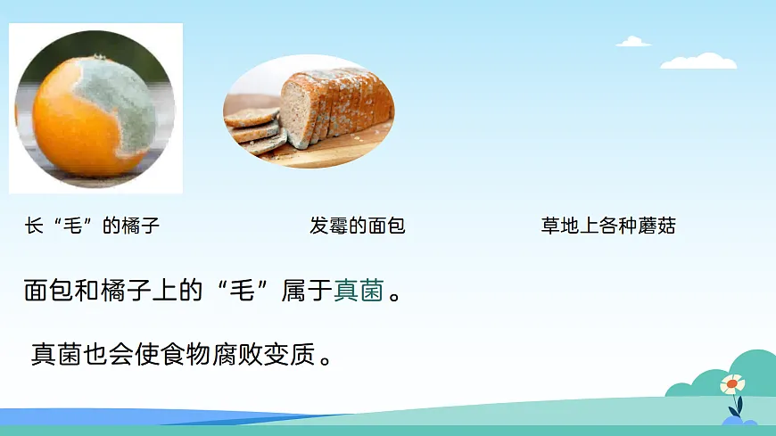 17402333第2页
