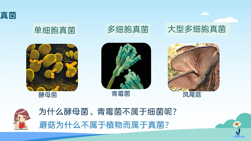 17402333第3页