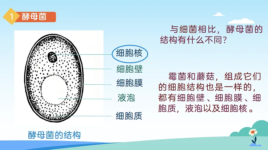 17402333第4页