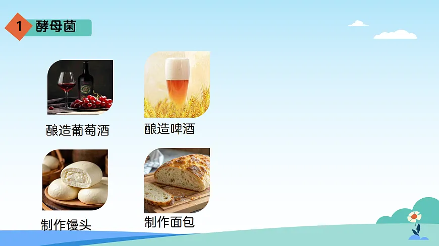 17402333第5页
