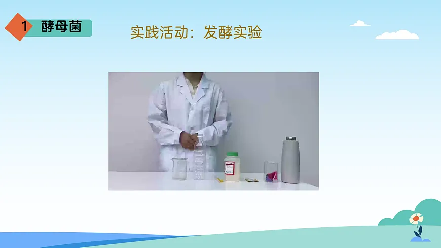 17402333第6页