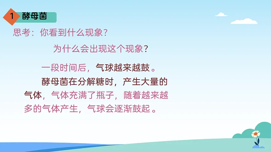 17402333第7页