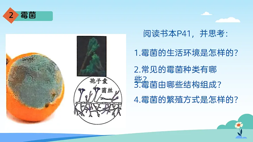 17402333第8页