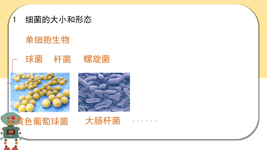 17402335第6页
