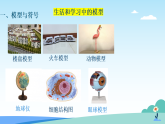 浙教版2024科学七年级下册2.2建构分子模型一 课件