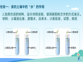 浙教版2024科学七年级下册4.3土壤与植物生长三 课件