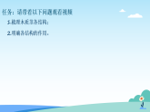 浙教版2024科学七年级下册4.3土壤与植物生长四 课件