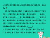 辽宁省2025七年级语文上册第一单元3雨的四季课件新人教版