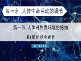 人教版八年级生物上册课件第四单元第六章《眼和视觉》