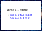 人教版八年级生物上册课件第四单元第六章《神经系统的组成》