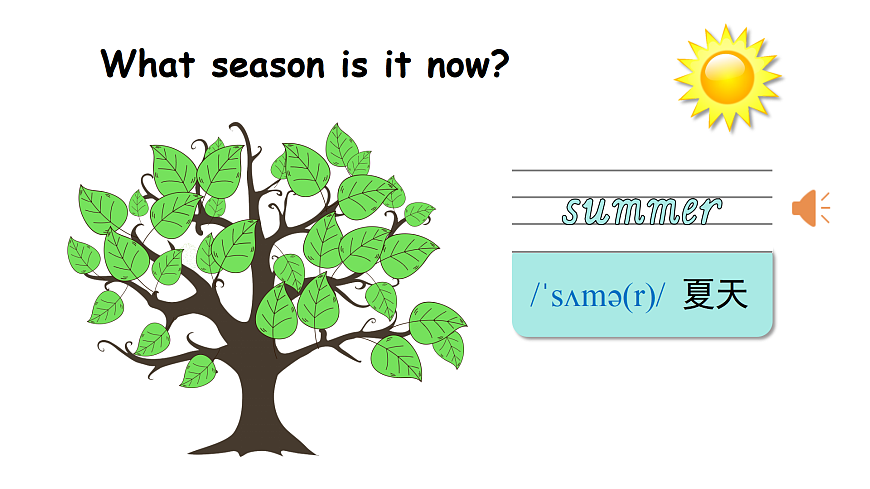 第5课时 B Let's learn & Do a survey第6页