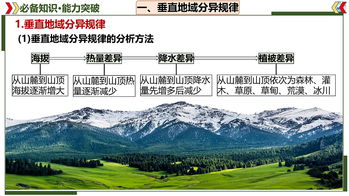 17402659第4页