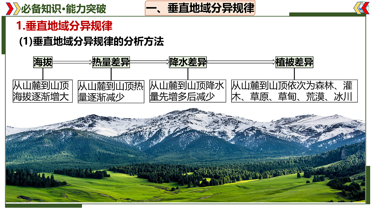17402659第4页