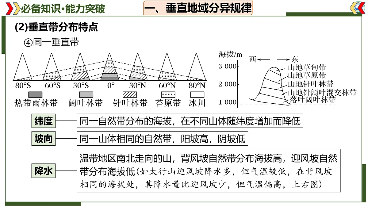 17402659第6页
