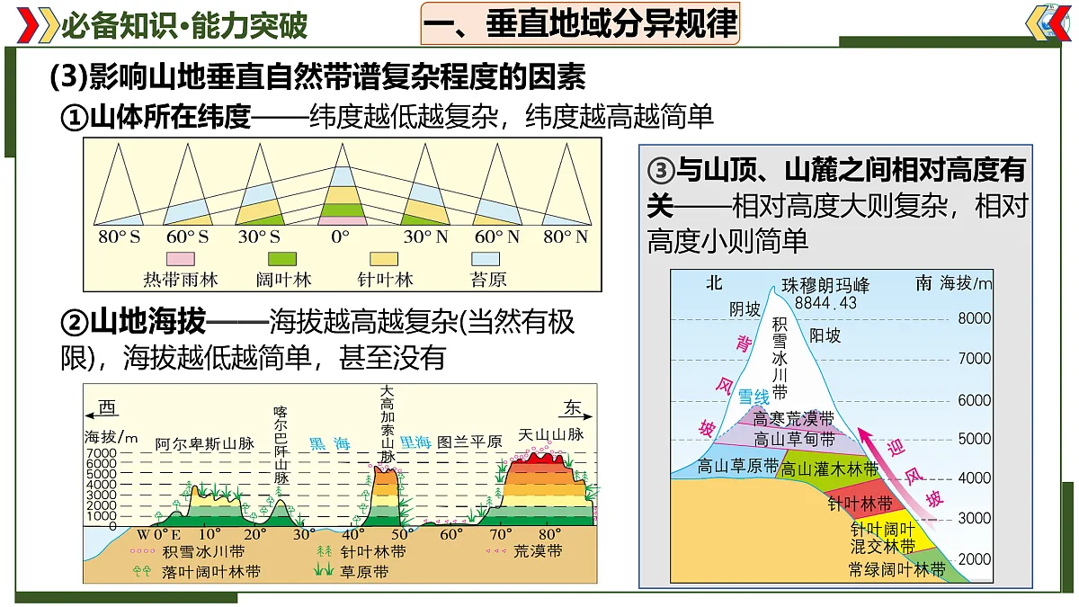 17402659第7页