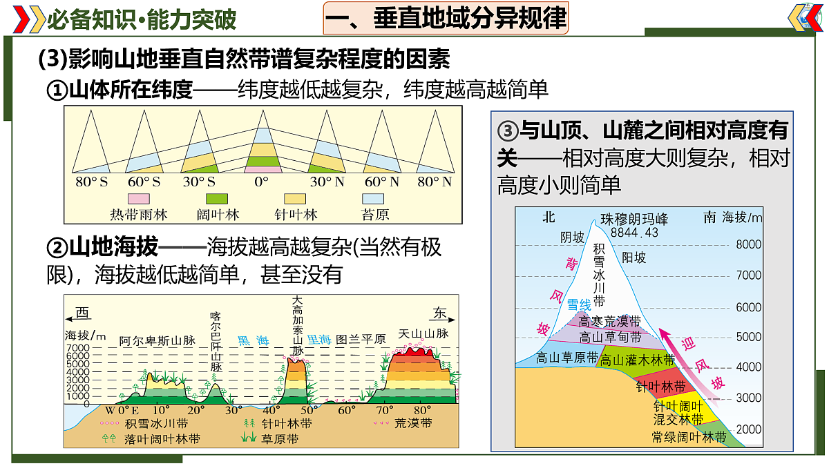 17402659第7页