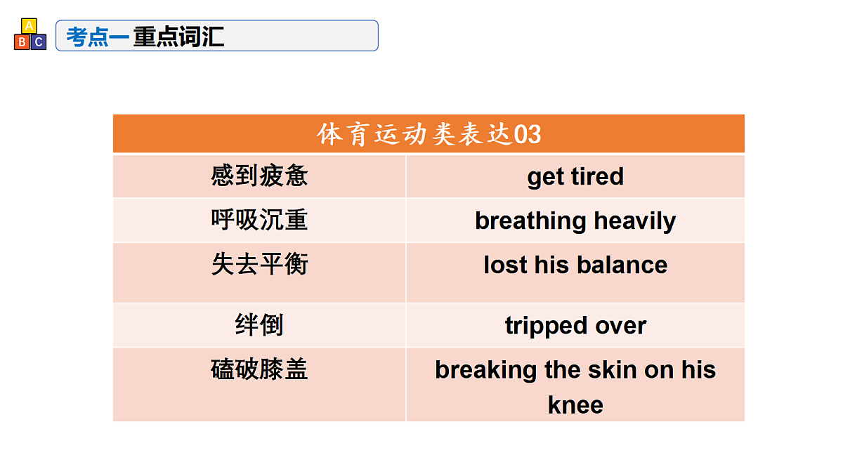 17402663第5页