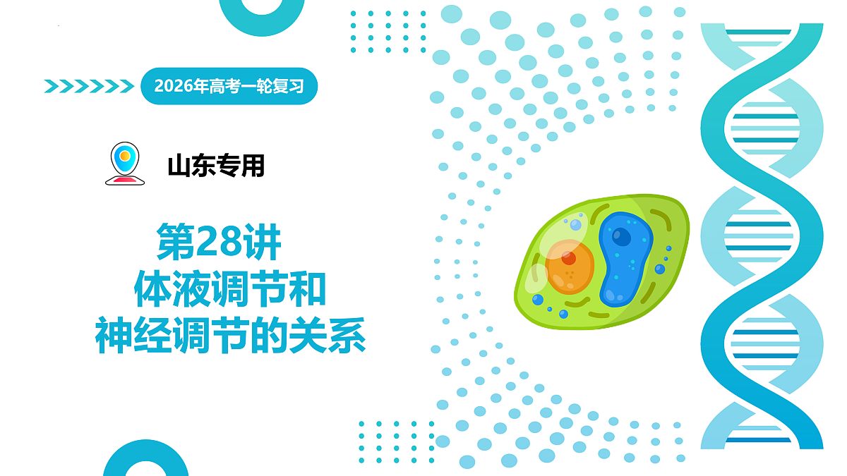 17402866第1页
