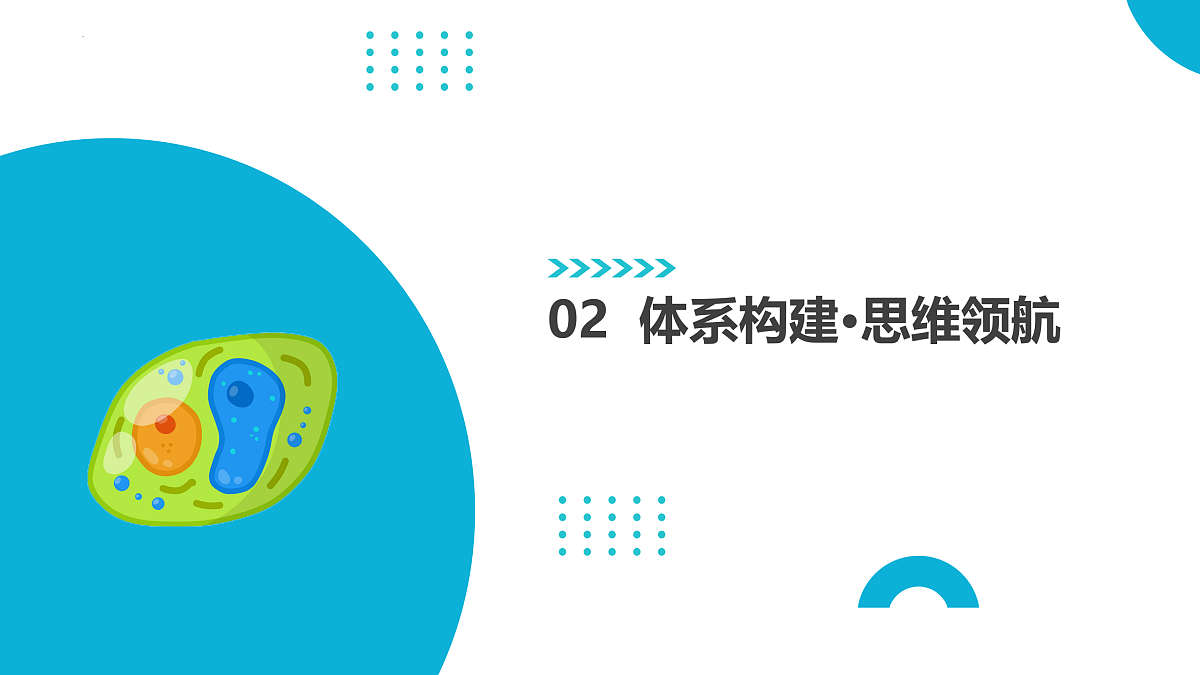 17402866第6页