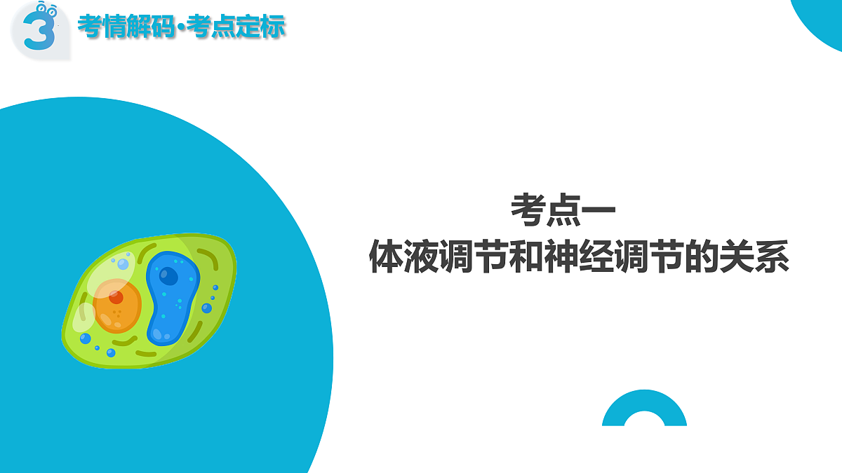 17402866第8页