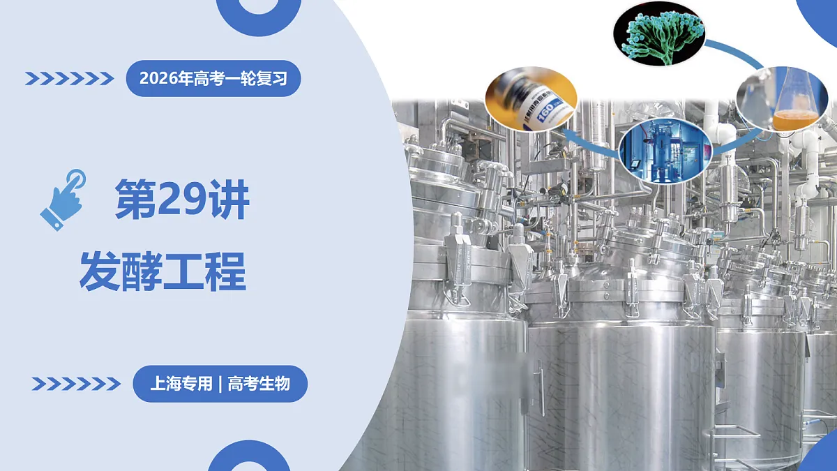 17402867第1页