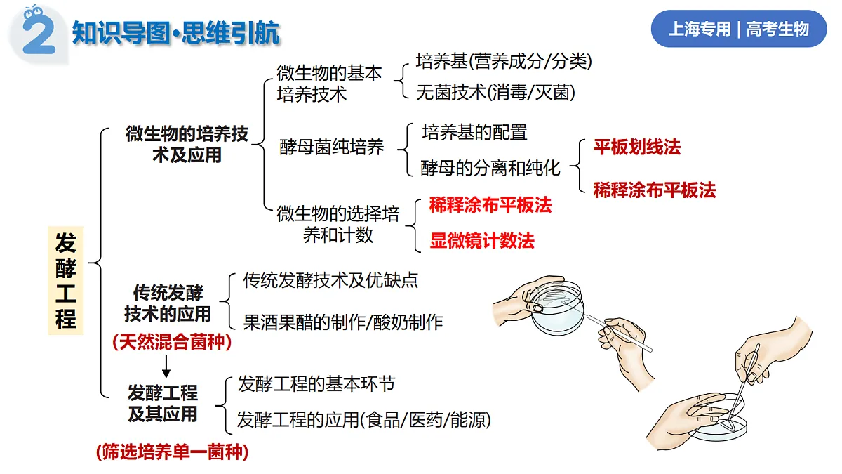 17402867第4页
