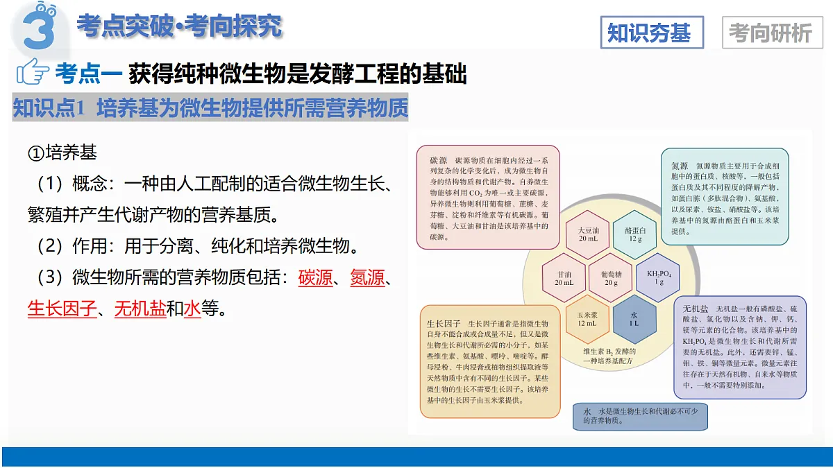17402867第7页