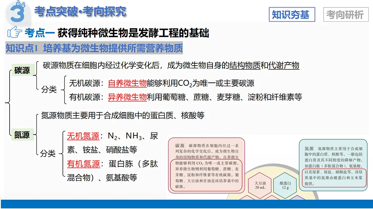 17402867第8页