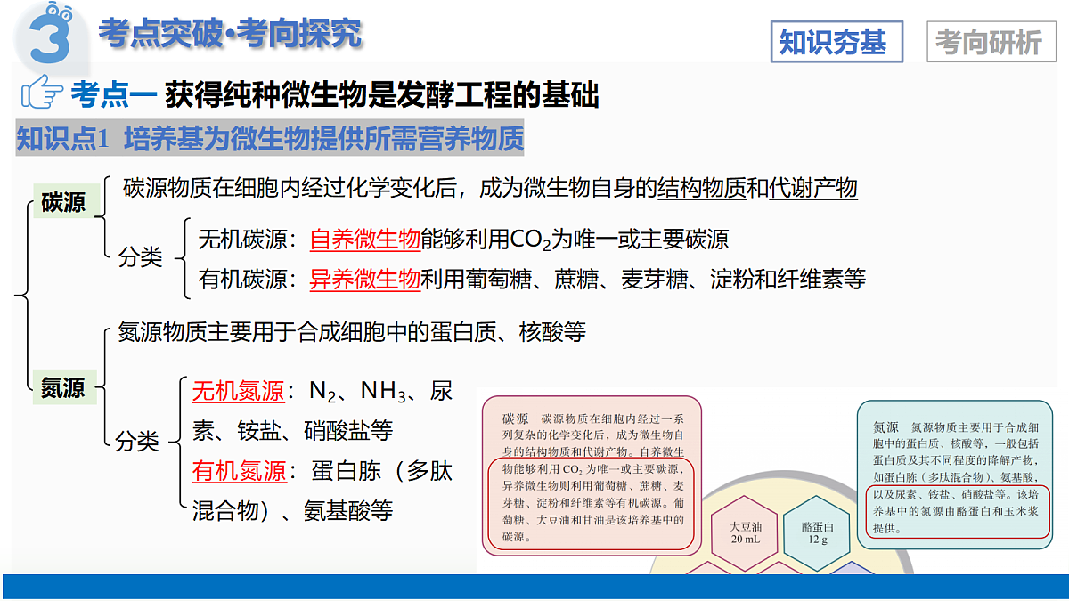 17402867第8页