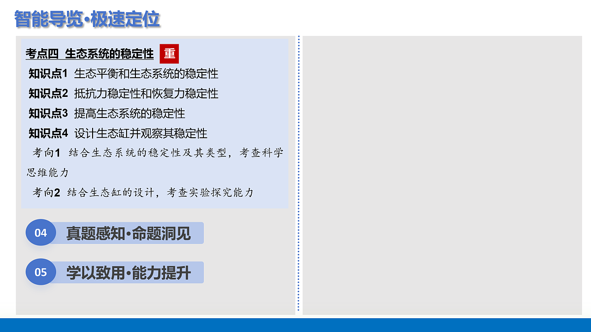 17402868第3页
