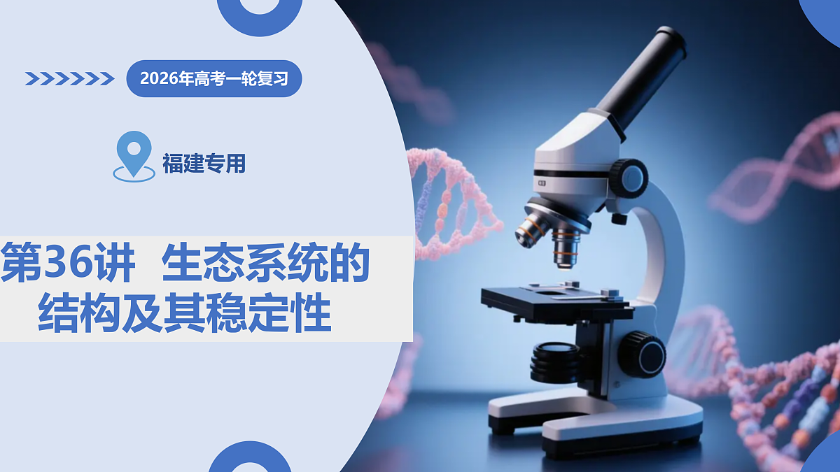 17402869第1页