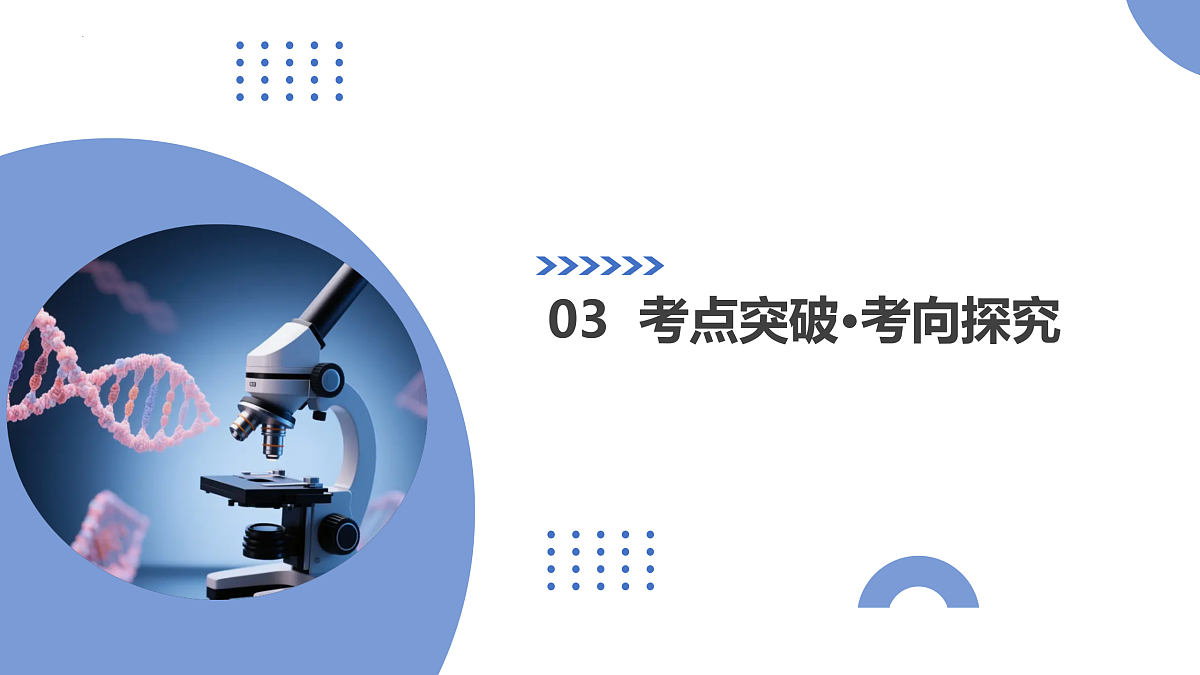 17402869第7页