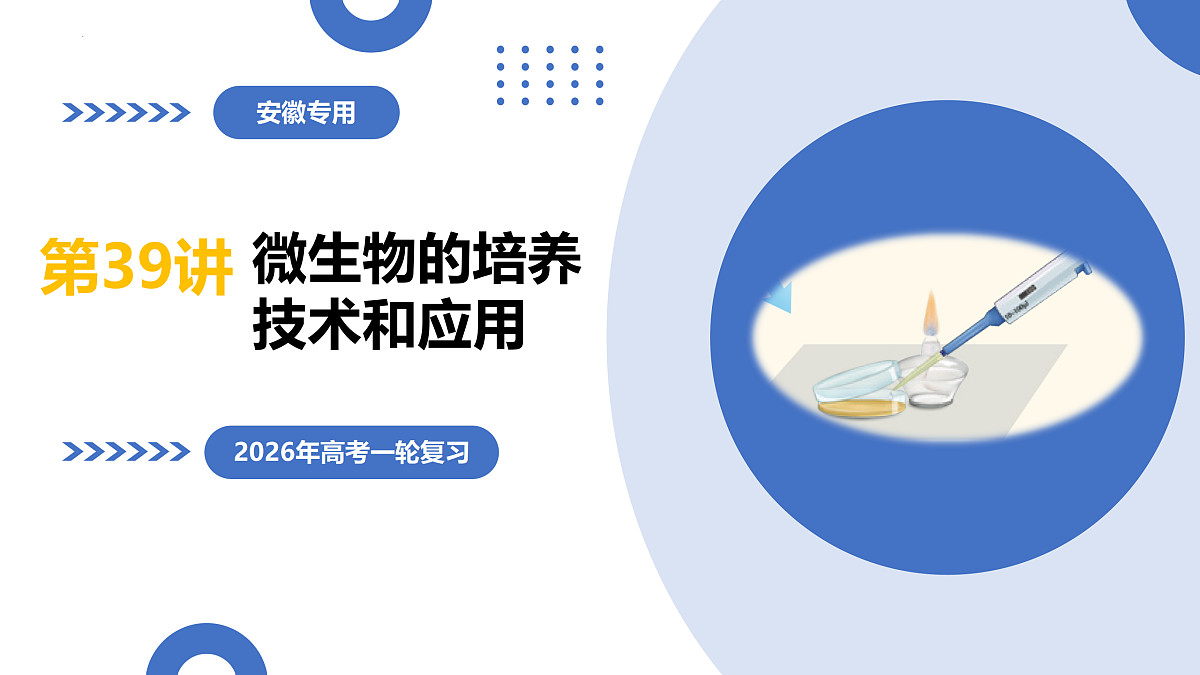 17402870第1页